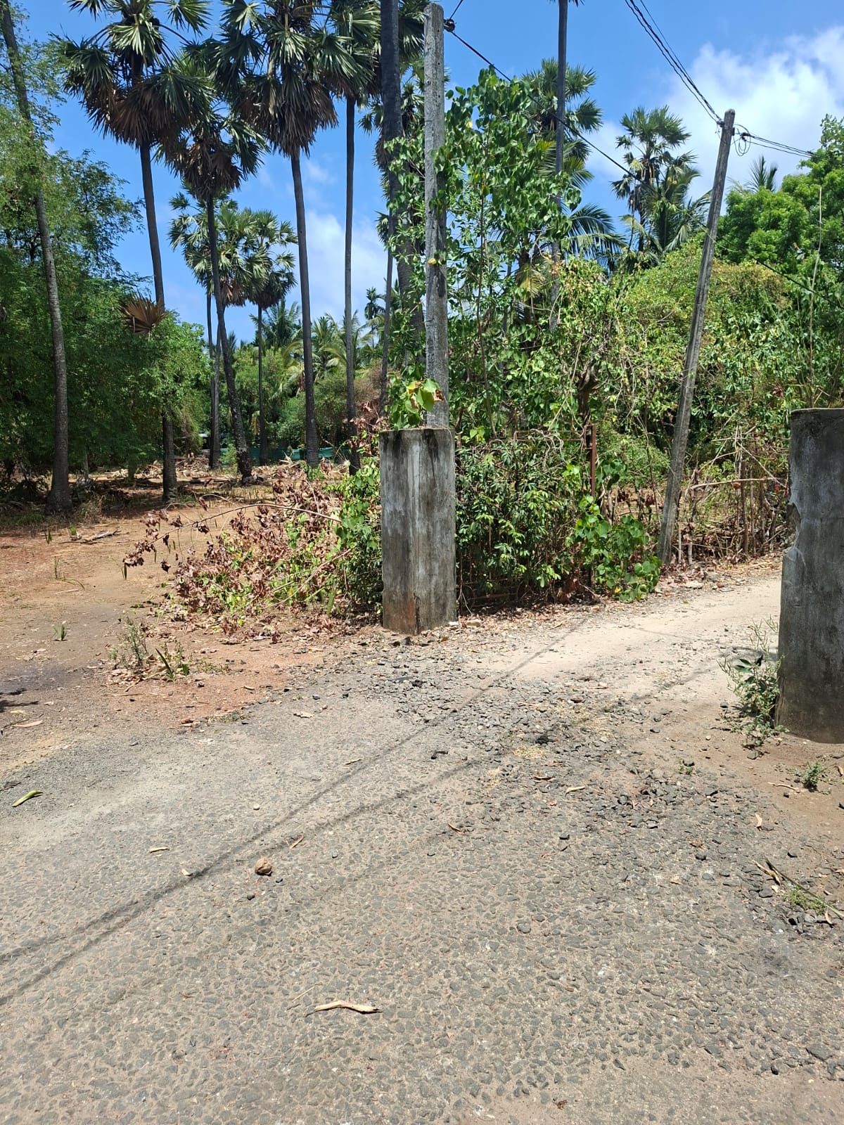 LAND FOR SALE